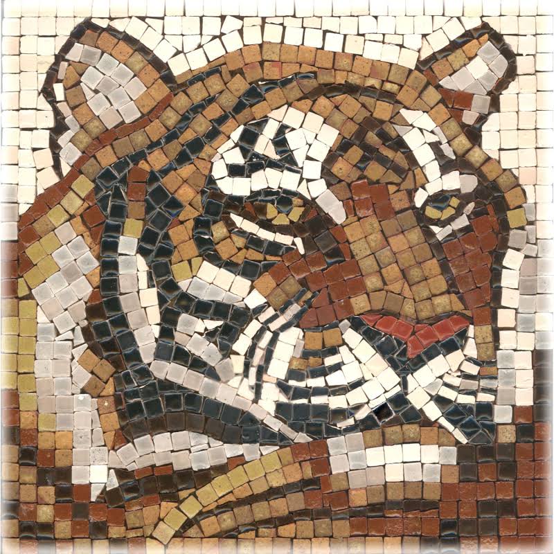 ConsciousSubway's tweet photo. Tiler #ChangeaLetterInAnimals https://t.co/r9gklCUSdc