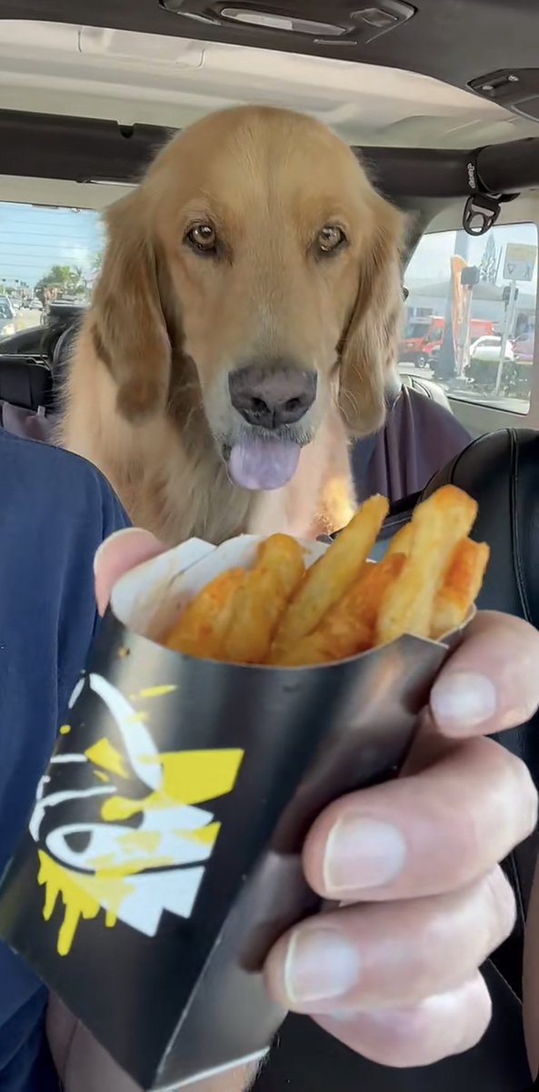 GuacEyes's tweet photo. Need a man that looks at me like guac looks at cheese fries https://t.co/HKkasJrM56