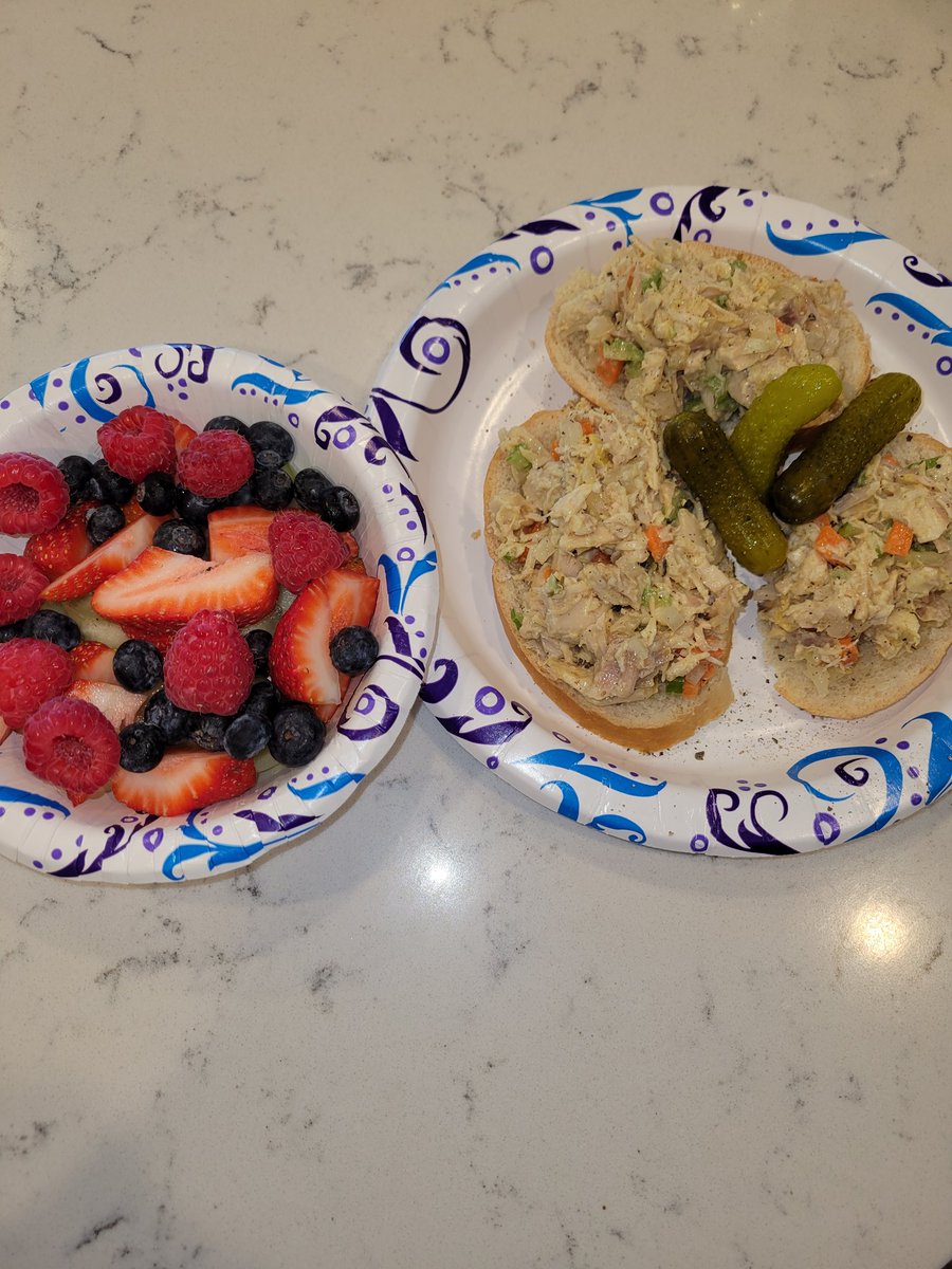 Equality1975's tweet photo. Turkey salad and fruit lunch! #viddles. Heading out for a hike on a bit! 65 degrees and sunny! https://t.co/7SEjbDxF8U