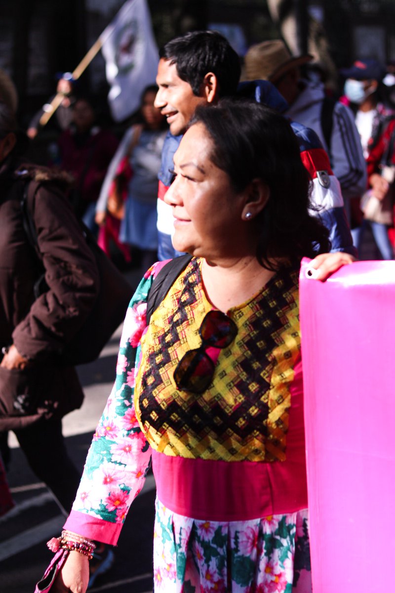 PETEOOAX's tweet photo. 🌸 Una auténtica fiesta democrática y con aires de transformación, eso fue la marcha del día hoy a la que convocó el presidente @lopezobrador_.
#FuerzaPorMéxicoOaxaca no podía faltar, sabiendo que donde haya propuesta y trabajo, ahí vamos a estar. https://t.co/bHksPOG4ZQ