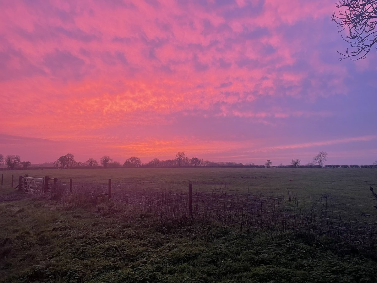 groundsfarm's tweet photo. I hope this means it will stop raining https://t.co/zPZ2BjYJle