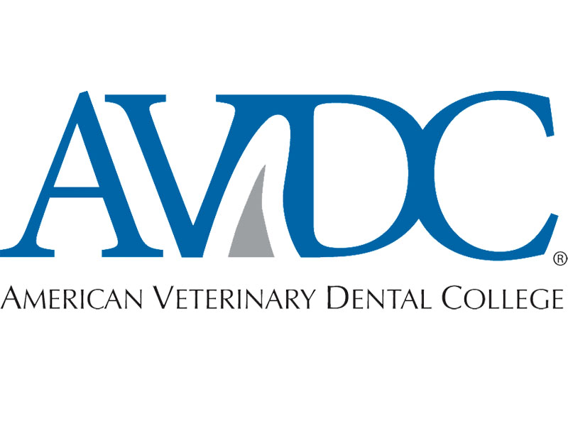 VDFINFO's tweet photo. Did you know that the AVDC has an online job board? Be sure to check often, as it is updated with new openings frequently!
https://t.co/lAjhdWC02o https://t.co/05C4qflTmM