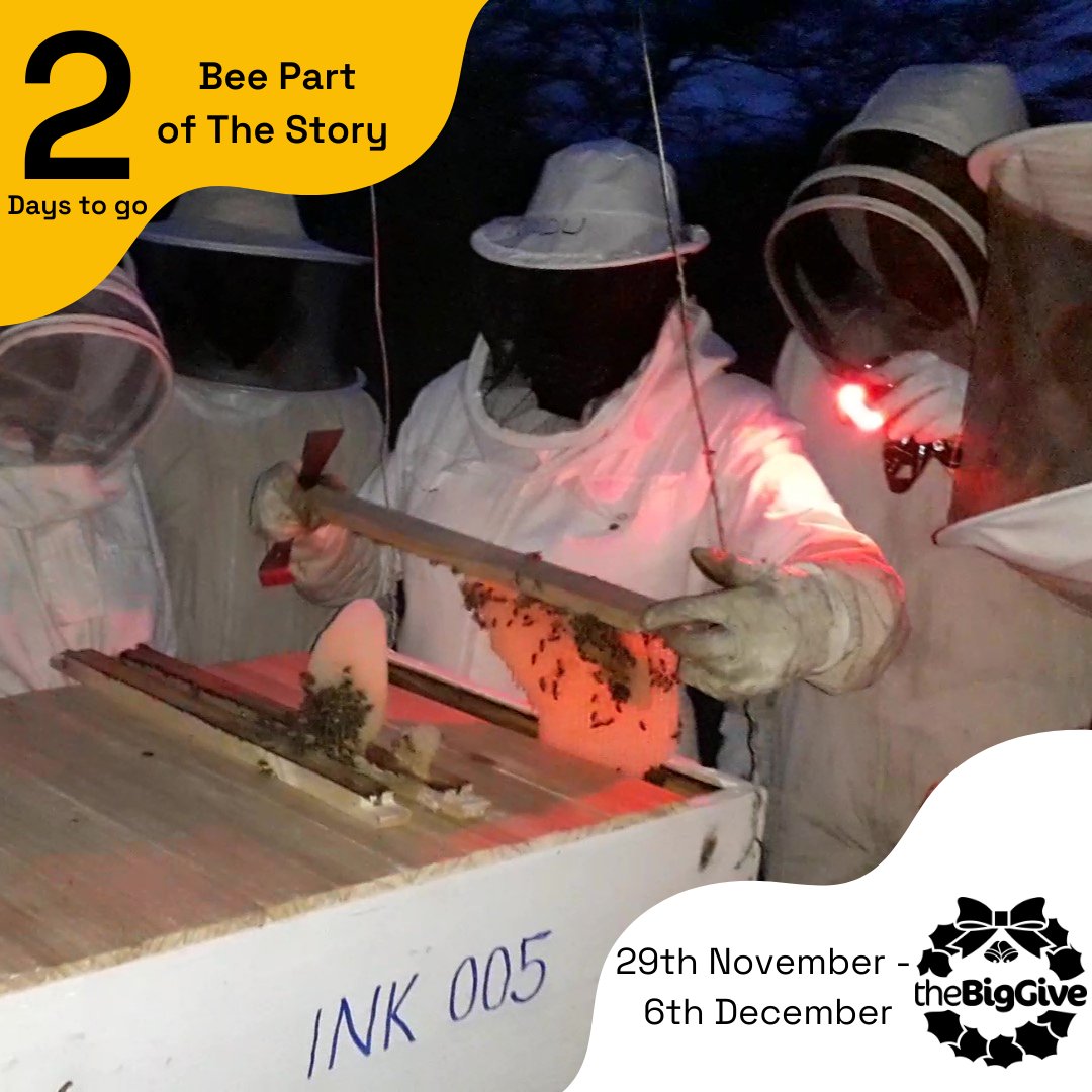 BeesAbroad tweet picture
