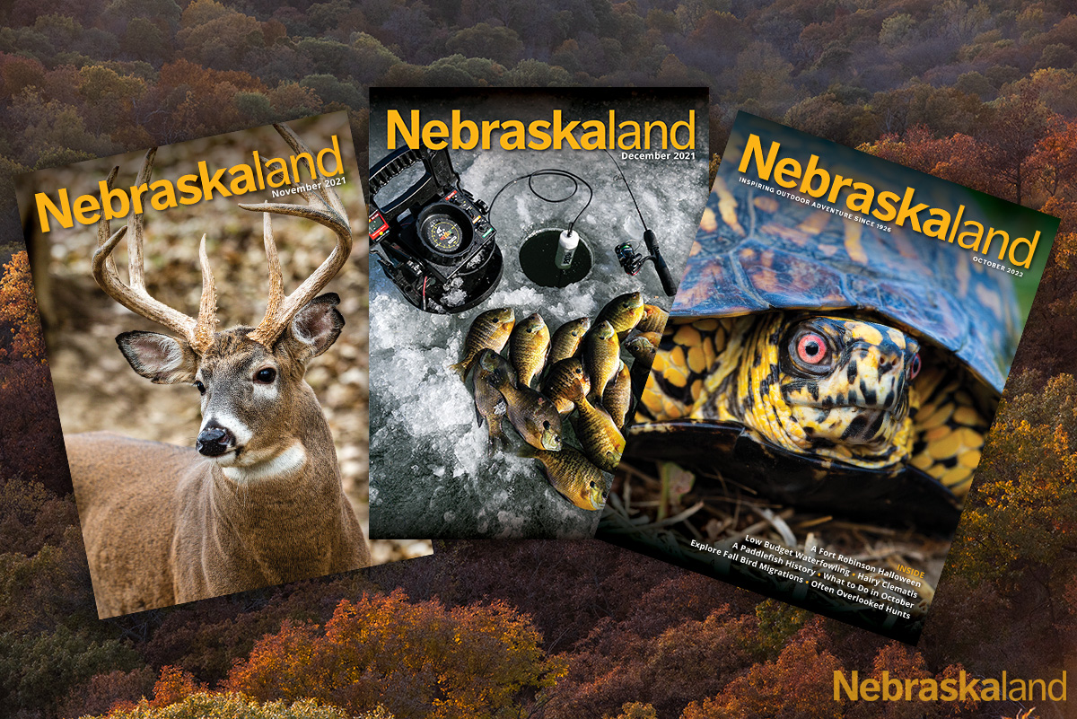 NeblandMagazine's tweet photo. Coming up short on Christmas gift ideas? Gift your loved ones a subscription to Nebraskaland Magazine! 

Buy it here: https://t.co/U9ptIRtMqR

#Nebraskaland #OutdoorNebraska #GiftASubscription #NEgameandparks #Gifts https://t.co/rBOKvyvR5l