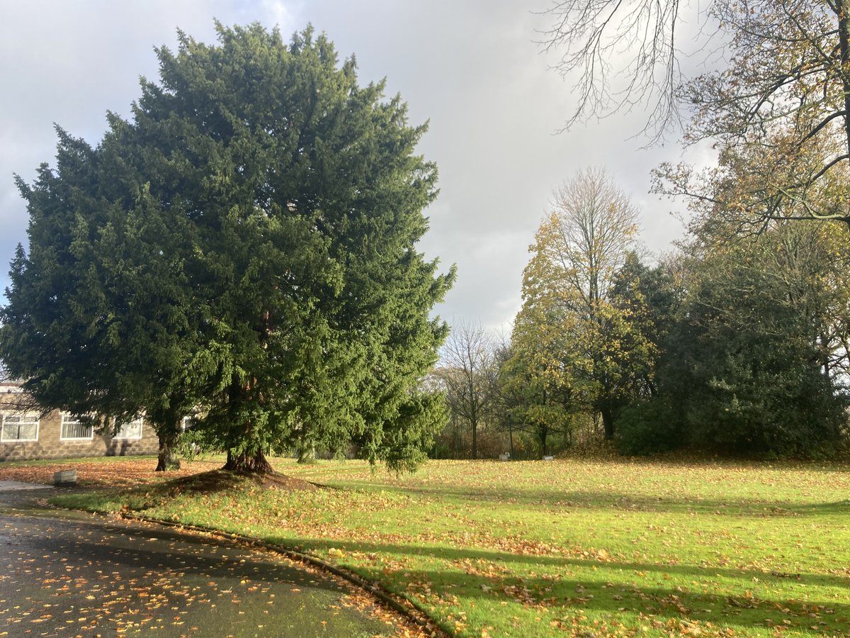 BOCS_England's tweet image. Happy #LancashireDay! We are lucky to have our Lancashire base, Lisieux Hall, situated on such beautiful grounds 🌹