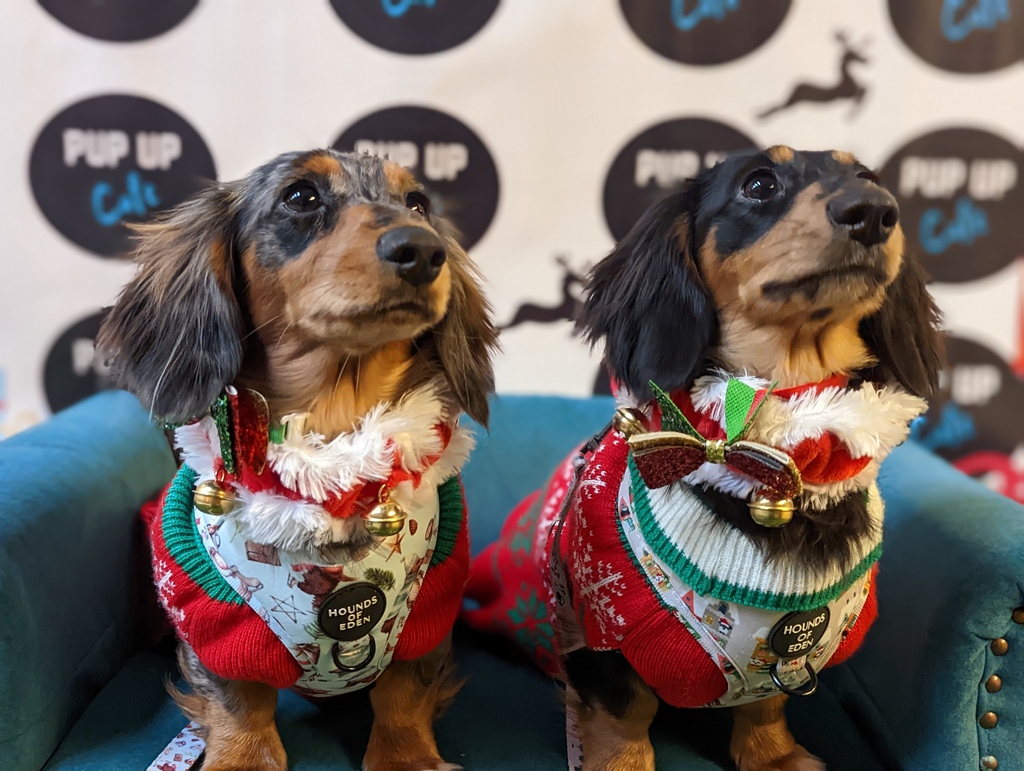 Glasgow you were the BEST! Thanks to everyone that came along, we can't wait to see even more Christmas sausages in Sheffield &amp; Lincoln next weekend! 🐶🎄
