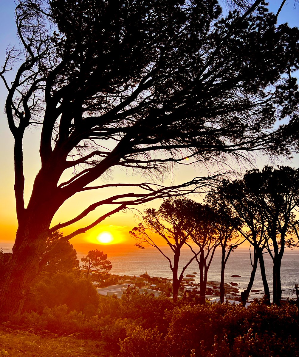 Nicola Kershaw 🌈 tweet media