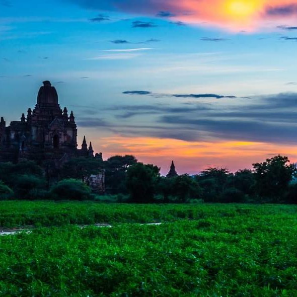 myat45 tweet media