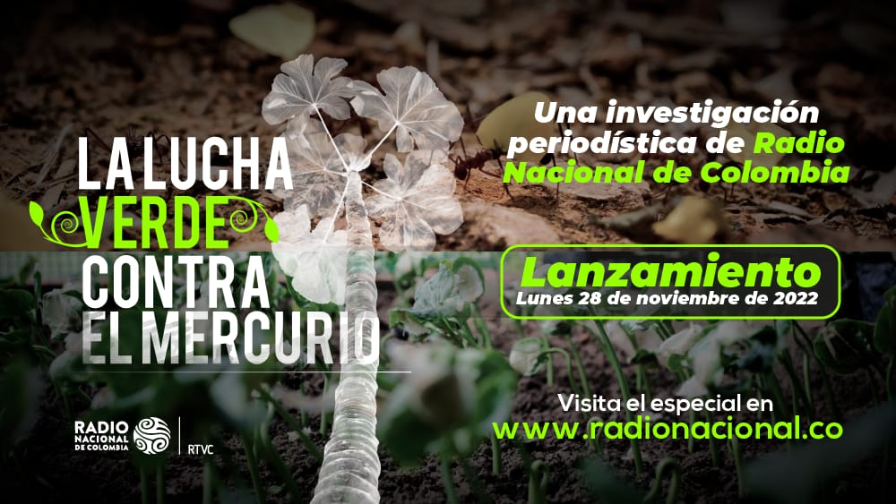 RadNalCo's tweet photo. Son varias las consecuencias que deja, en el medio ambiente, el mercurio utilizado en la minería ilegal, pero hay una esperanza.⛏️
🌱 Hoy te lo contamos en nuestra investigación 'La #LuchaVerde contra el mercurio'.
🎙️ #SeñalDeLaMañana 8:30 a. m.
📻#ColombiaAlAire 12:00 m https://t.co/kIA1r0dCe1