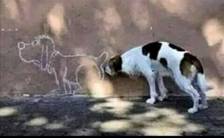 Myself07507680's tweet photo. @DlaminiLusiwe Damn where's my Vaseline https://t.co/l7w1ZBRJW1