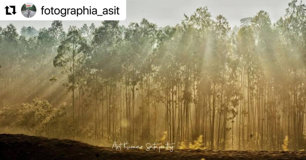 BBSRBuzz's tweet photo. #bhubaneswarbuzz #awesome #photography of #koraput by @fotographia_asit
・・・
#wintermorning #foggymorning #Koraputdistrict #koraputdiaries #trainjourny🚊 #photographers_of_india #photojournalist #nikon #Bbsrbuzz #eodishaorg https://t.co/ZmzQvxEe8T #bhubaneswarbuzz #awesome #p… https://t.co/Dh2ERgD2Ga