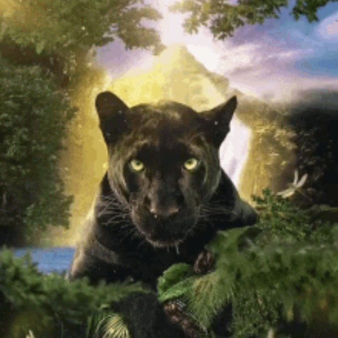 #FotografieDeProfilNouă https://t.co/eV43kF8S70<a href="/tag/fotografiedeprofilnou%C4%83"class="tags">#FotografieDeProfilNouă</a>