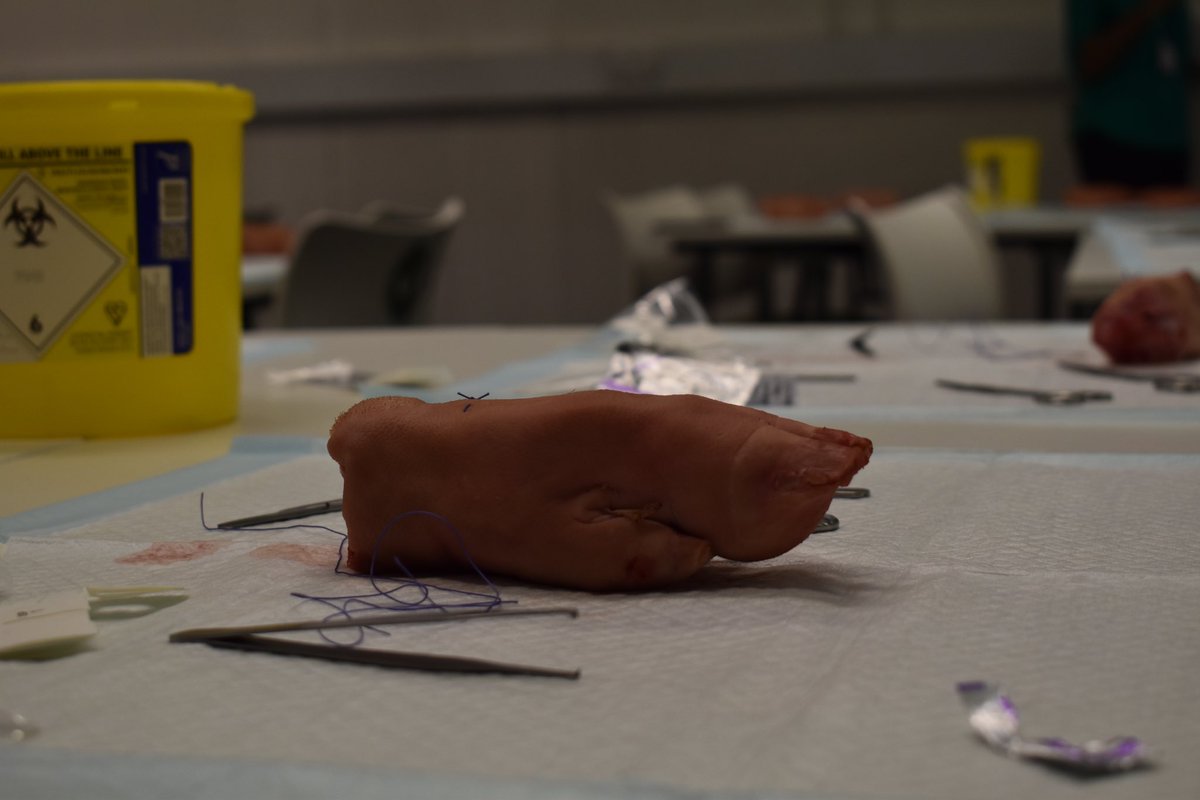 UCL Women in Surgery (@wins_ucl) on Twitter photo Our final workshop of the day! Advanced suturing on pig trotters - this was definitely a highlight and allowed our delegates to put their surgery skills to the test! Our final workshop of the day! Advanced suturing on pig trotters - this was definitely a highlight and allowed our delegates to put their surgery skills to the test!