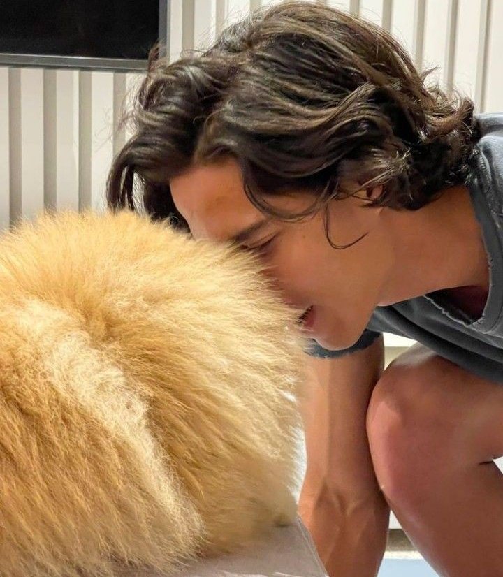 miwaykei's tweet photo. — boyfriend material diego lainez. https://t.co/PAv0OLLC4z