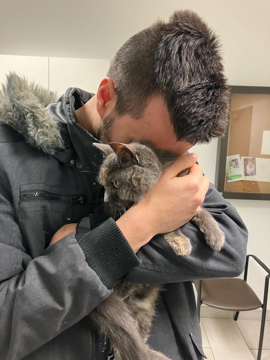 michaelscat2's tweet photo. Yesterday, we had to euthanize our 15 years old cat because of kidney failure. She was my best friend and was always there to sooth me with her purrs. I stayed in front of her the whole time so she'd know I was there for her, just like she was for me so many times in the past. Be https://t.co/r8YZnAVg7k
