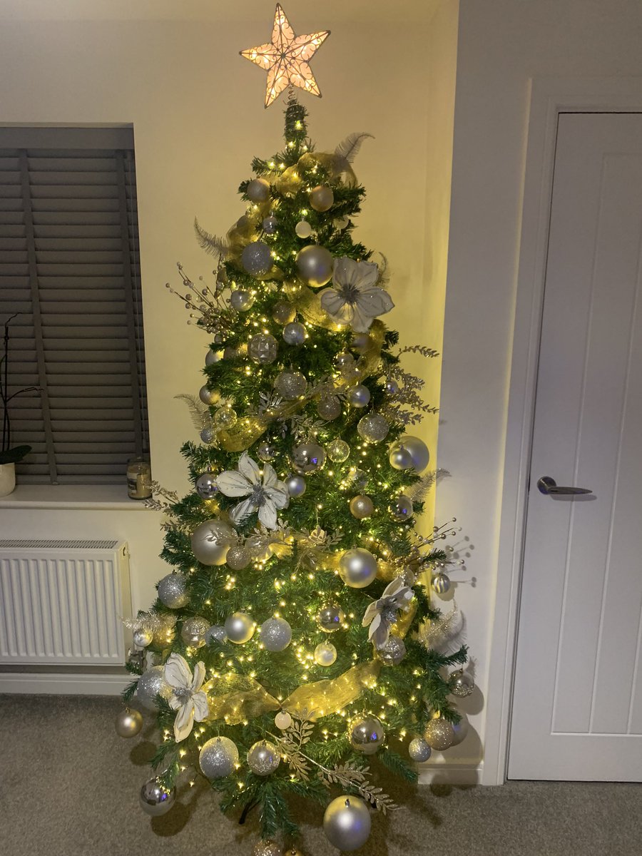 RobynGaines08's tweet photo. We’re Christmas ready! 🎄❄️🌟 https://t.co/iGBqFpTpsq