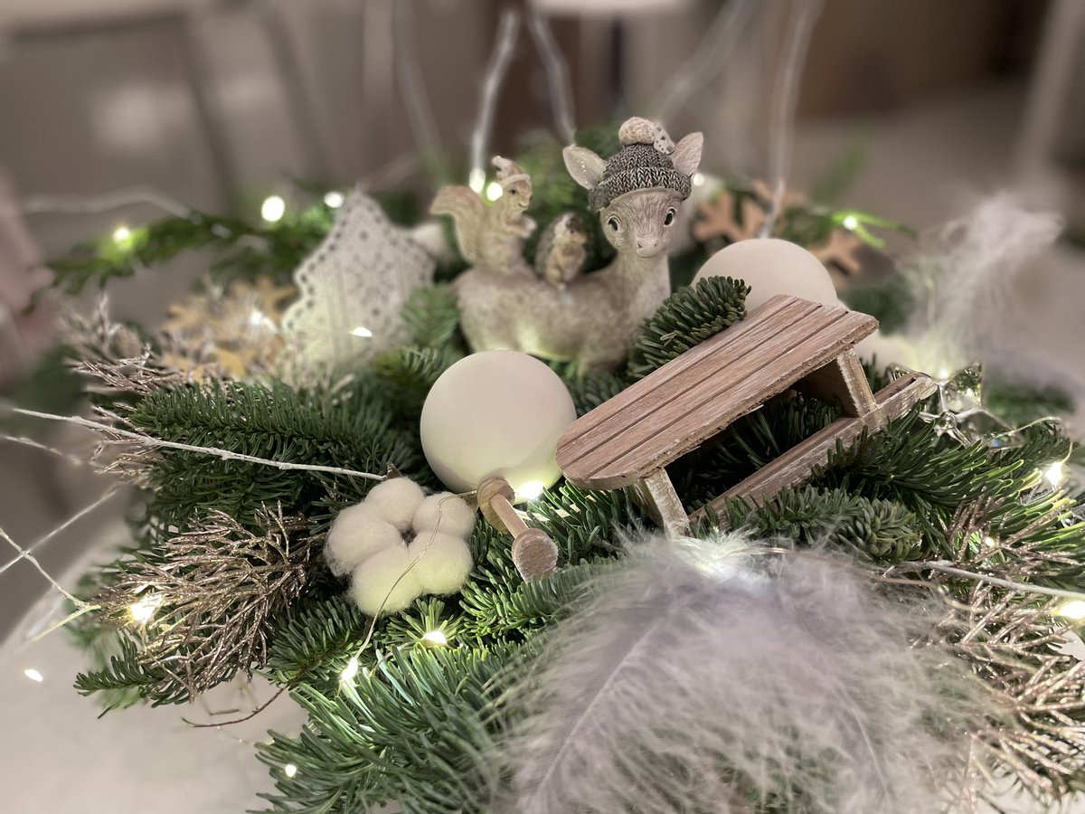kokikathecat's tweet photo. @YgritteFire Nemam svicky, protoze kocky, ale mam sanky a veverku na jelinkovi 🎄😉 https://t.co/c0eDAoUyPs