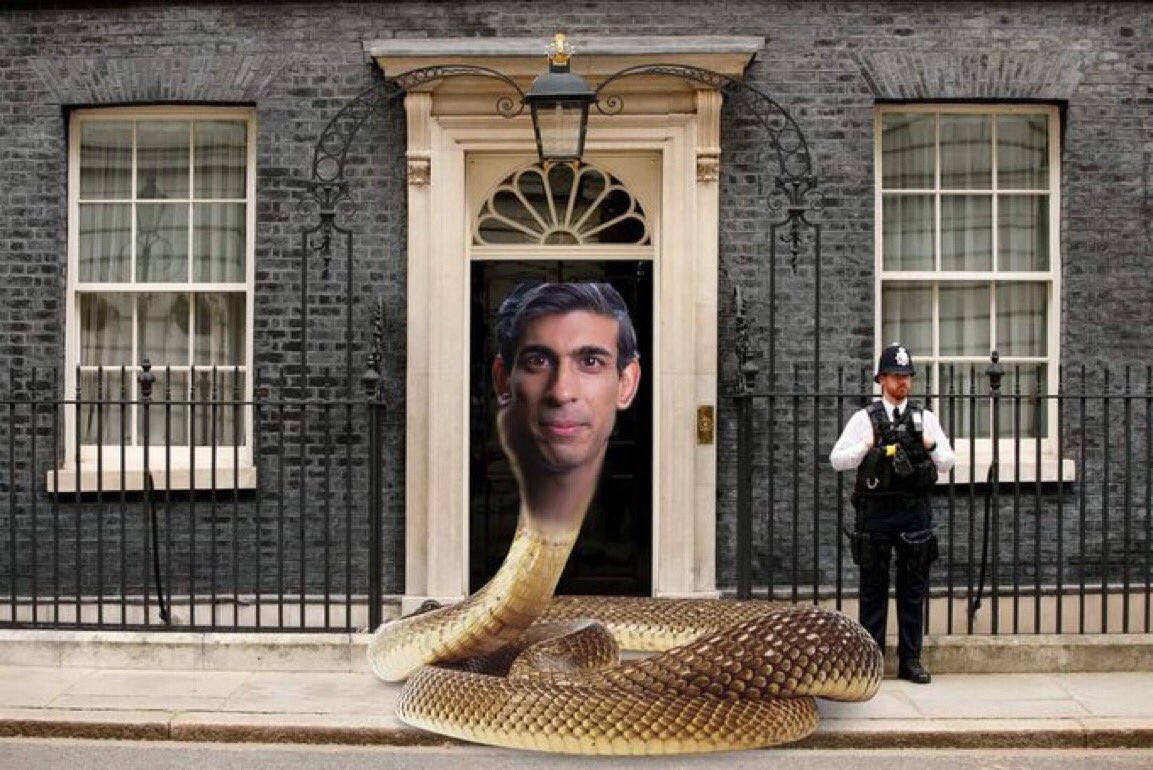 HasanHussain747's tweet photo. Snake #ChangeaLetterInAnimals https://t.co/lTjHFDnnUk
