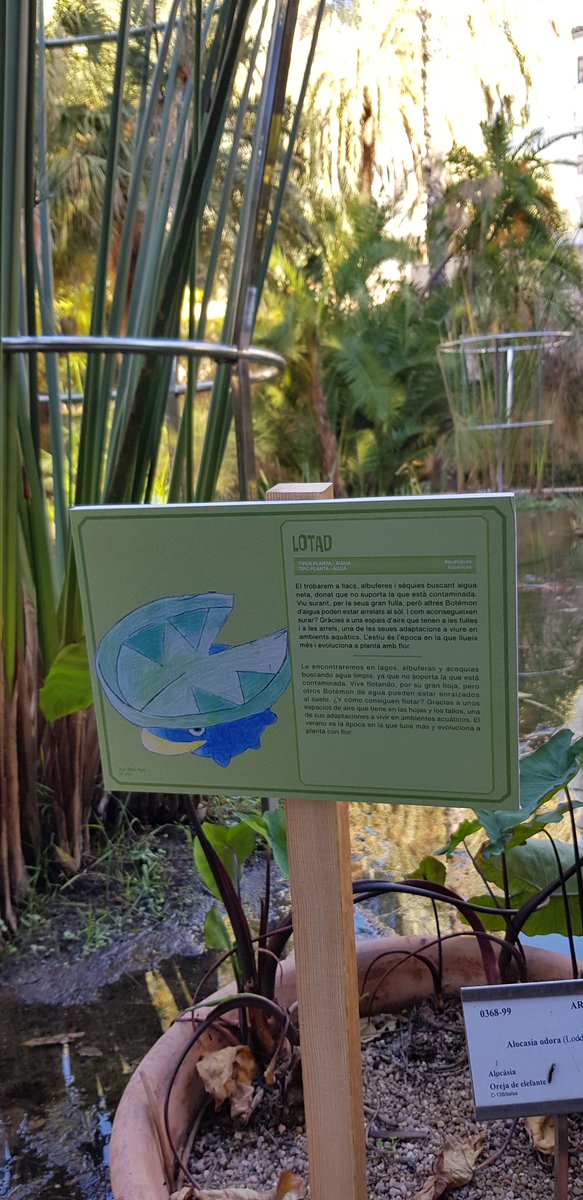 JardiBotanicUV's tweet photo. Heu resolt la gimcana Botémon?, recordeu que els qui aconseguien trobar-los tots podien emportar-se de record… una carta Botémon inèdita i molt especial!😀🌺
#gimcana #pokemon #JardíBotànicUV #UnJardíDeCiència https://t.co/d5MT1ZEI7l