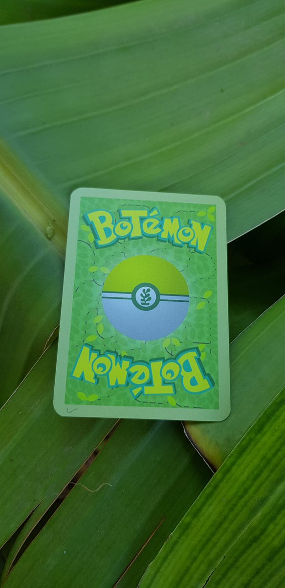 JardiBotanicUV's tweet photo. Heu resolt la gimcana Botémon?, recordeu que els qui aconseguien trobar-los tots podien emportar-se de record… una carta Botémon inèdita i molt especial!😀🌺
#gimcana #pokemon #JardíBotànicUV #UnJardíDeCiència https://t.co/d5MT1ZEI7l