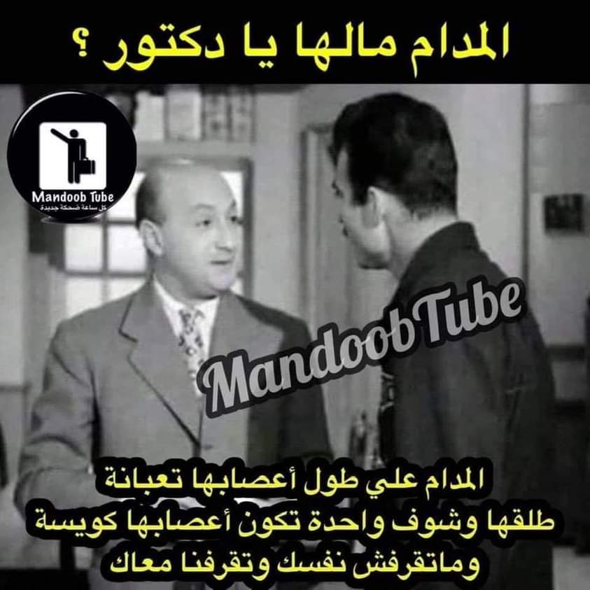 ليلي صالح tweet media