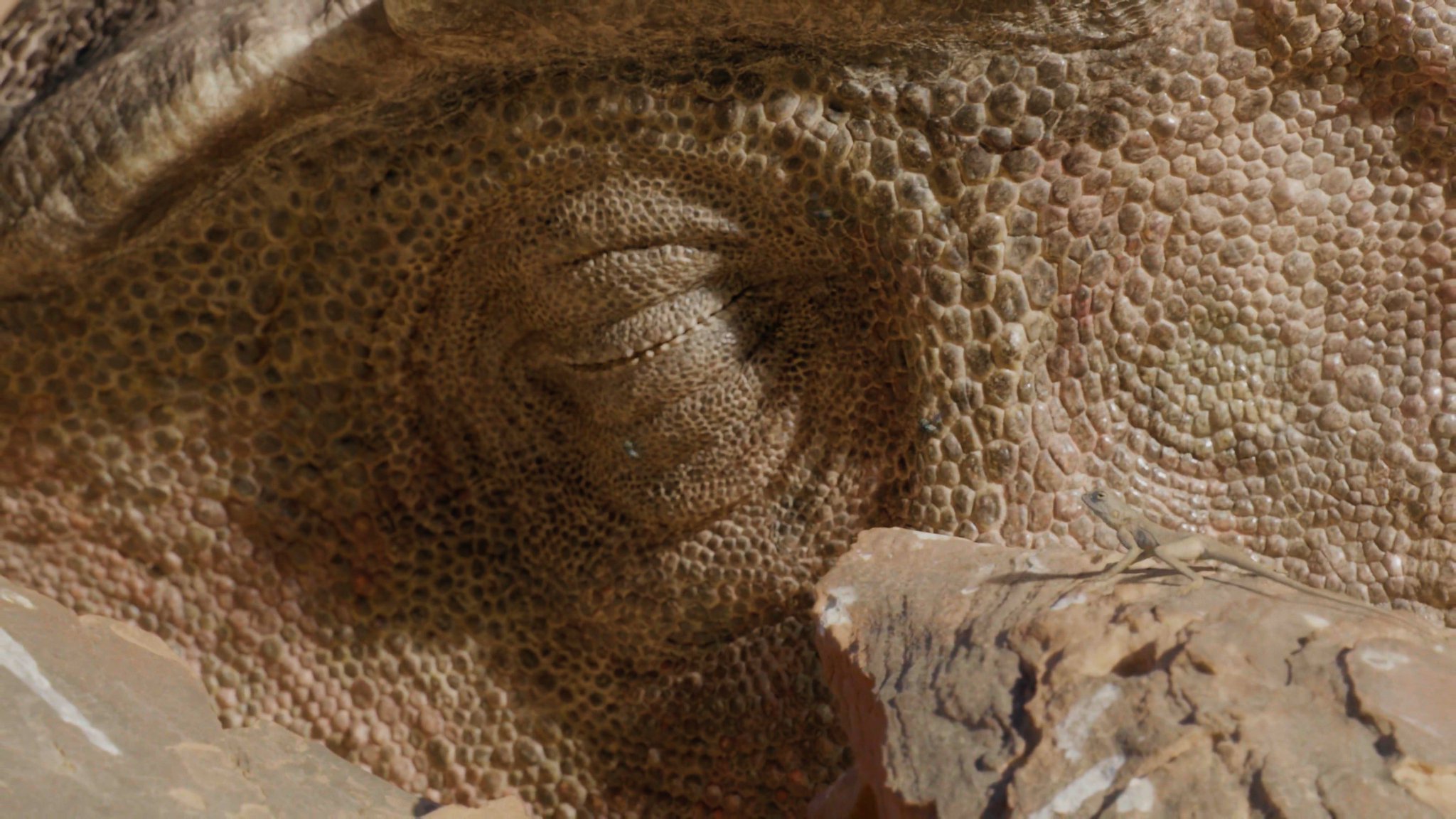 Luke Snywalker on Twitter "I love this sequence in