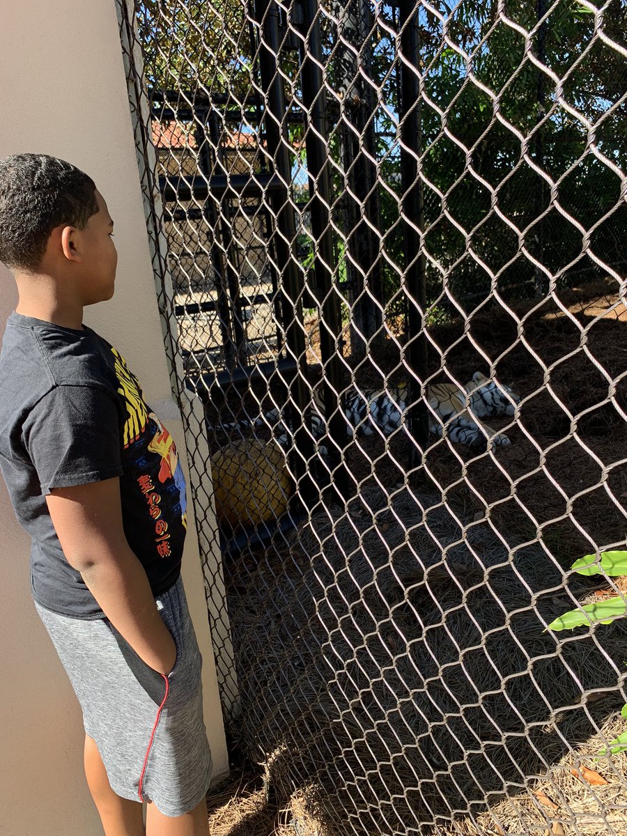 nekathobbs_79's tweet image. Took the boychild to see Mike, #LSUTiger....