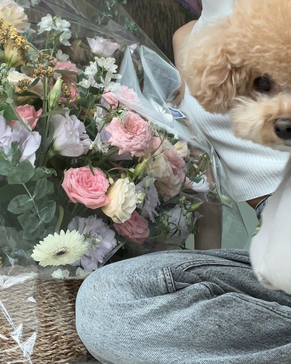 hyewonmu tweet picture