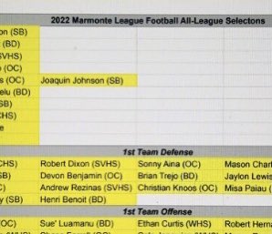 I’m honored to have been selected to the All-Marmonte League for first team defensive line.