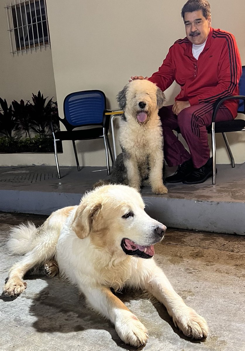 ¡Miren esta foto que me tomó Cilita! Adelante está “Nevado” con sus dos patas grandes, y junto a mi, “El Oso Panda”. Pasamos una tarde en familia, renovando las energías para seguir en batalla por Venezuela. ¡Feliz Domingo!