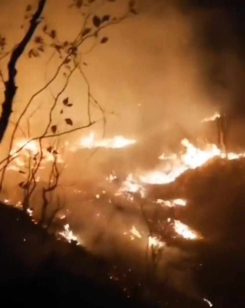 RSKingofCurses's tweet photo. @UNESCO @ICOMOS @IPCC_CH The Islamic Republic uses its helicopters to shoot defenseless people while the #HyrcanianForests is burning for six days now
This beauty is on fire:
#MahsaAmini
#IranRevolution 
@UN 
@UNHumanRights 
@CNN 
@FoxNews 
@cnnipr https://t.co/Z5XaQRNJr4