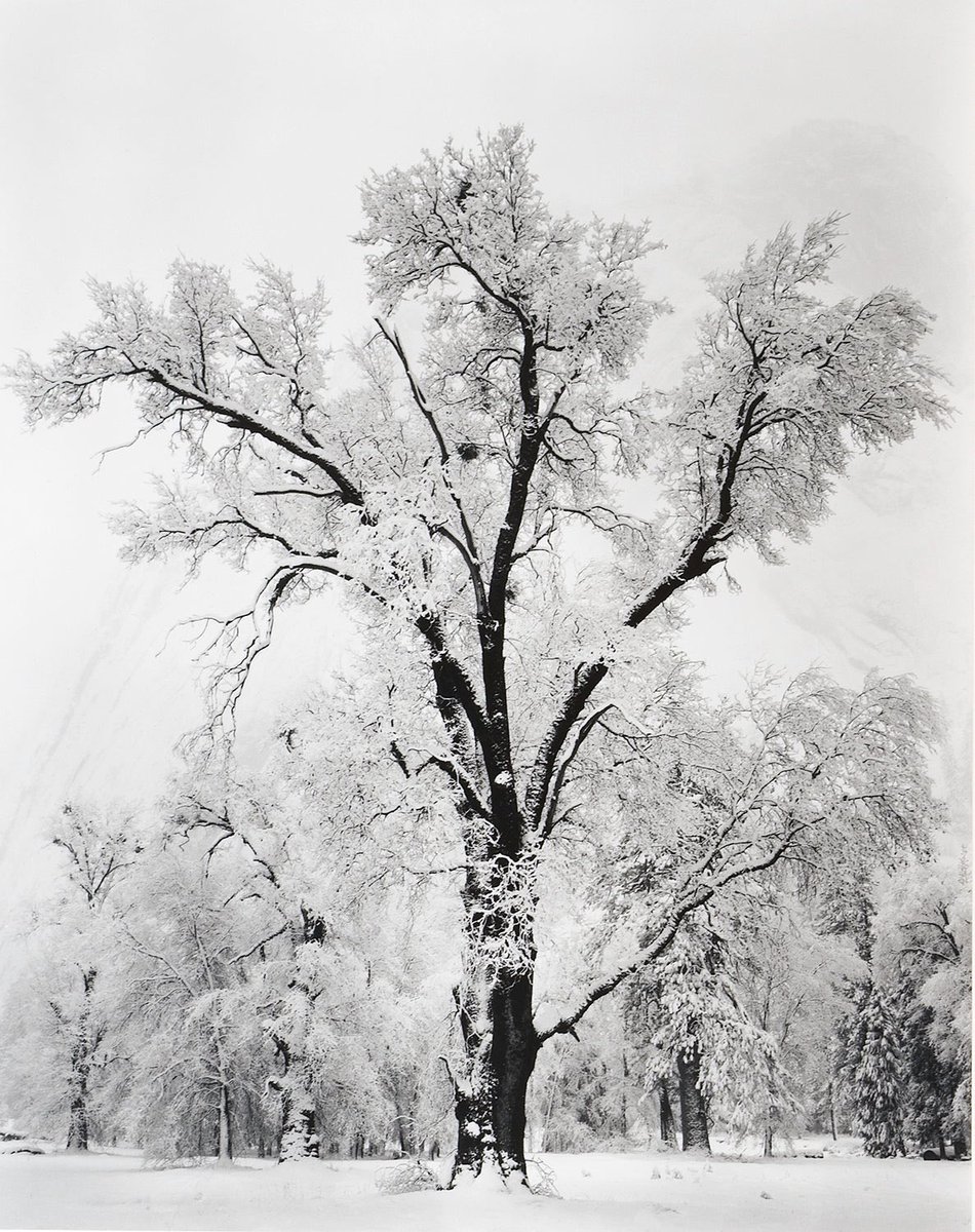 15% Off All Ansel Adams Modern Replicas and Special Edition Prints* shop.anseladams.com/collections/an… *Sale excludes Ansel Adams Original Photographs, Represented Artists, and Photography Education experiences. Valid online, now through November 28. #TheAnselAdamsGallery