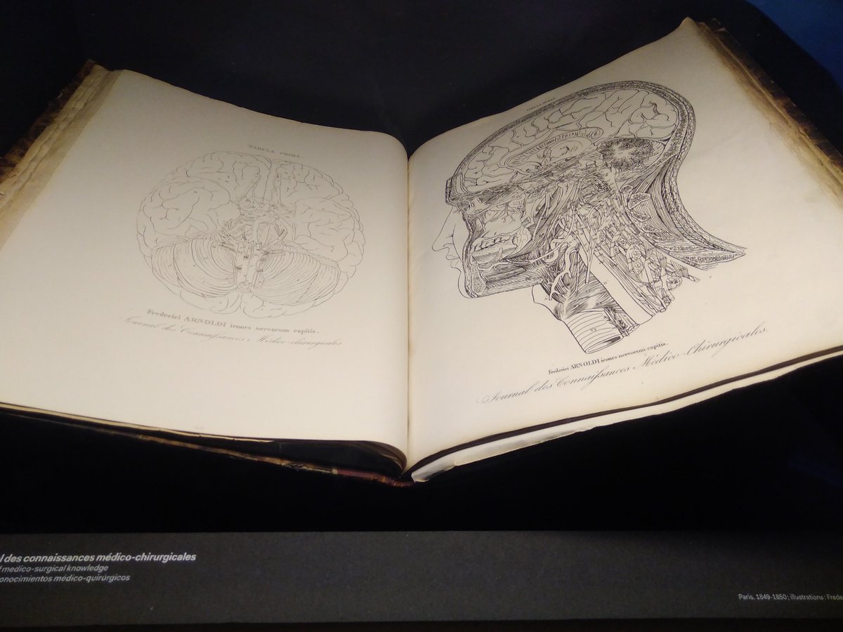 FabienJhistarry's tweet photo. Avant le concert du soir 🤘, être dans le quartier de la Villette, c'était l'occasion d'aller faire un tour à la @citedessciences !
⚓💀🐟🌌♋
#CSTgre https://t.co/qkfxM5Py0d
