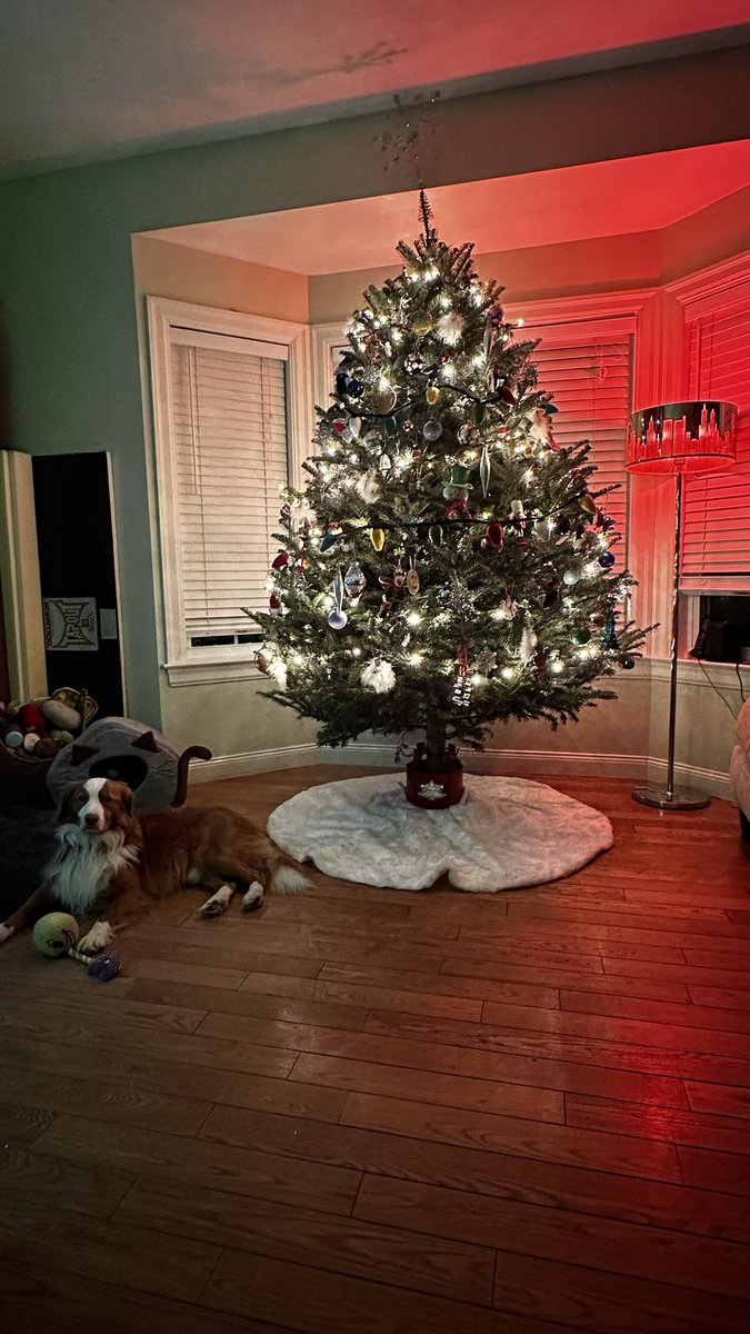 Gryff & Lily’s Dad | 🍻🐐🍻 tweet media