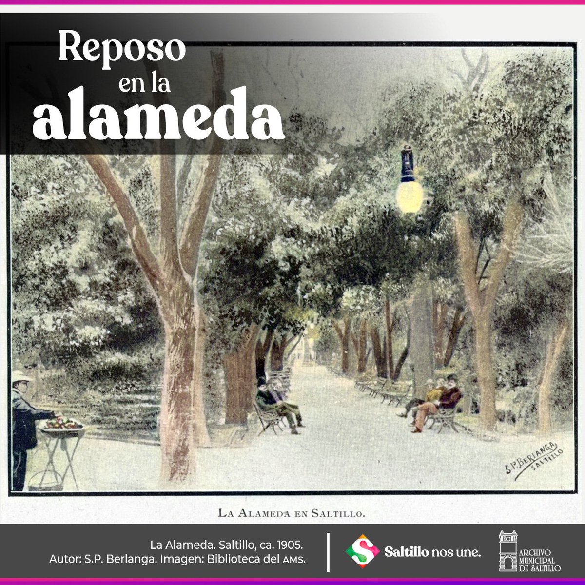 Desde el Archivo: Un reposo en la Alameda. ¿Fotografía tomada en domingo? 

Te invitamos a construir la historia de los personajes y espacios retratados.

 #SaltilloNosUne