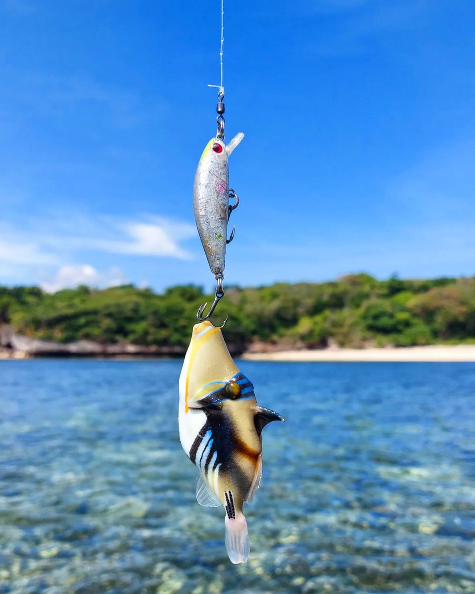 AlbertEdison99's tweet image. what happened today?? the fish is small but still grateful