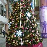 ツイートに含まれる画像