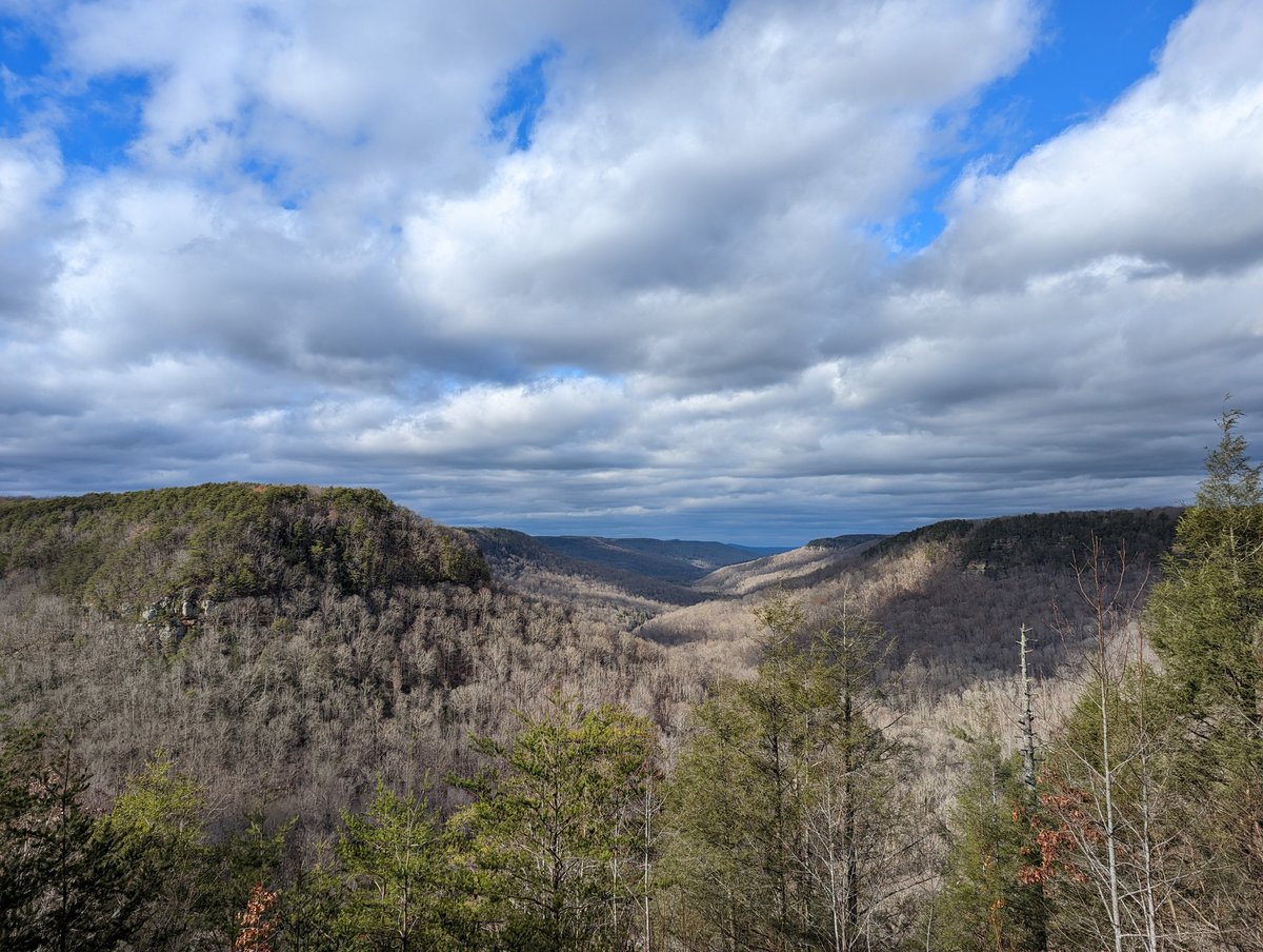 I Have done many a trip to Fall Creek Falls, and many many to the base of the Falls. But it's been years without seeing a single other hiker at the basin... Great to experience it this way again 🤙