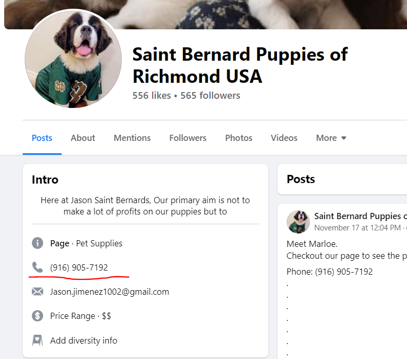 TrueCrimeandRye's tweet photo. Bayside_Bourbon is no more.
Thank you everyone for reporting and calling this scammer.
But, they are also running a dogscam over on the FB.
Report that account and warn anyone that posts on their page. #scam #scammer #puppyscam #petscam https://t.co/JmPeNf6skB