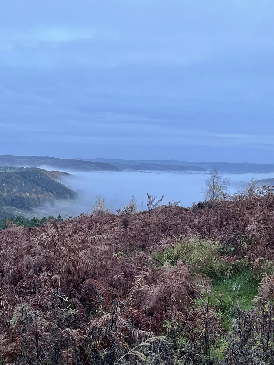 Jackie Smith 💙💙💙 tweet media