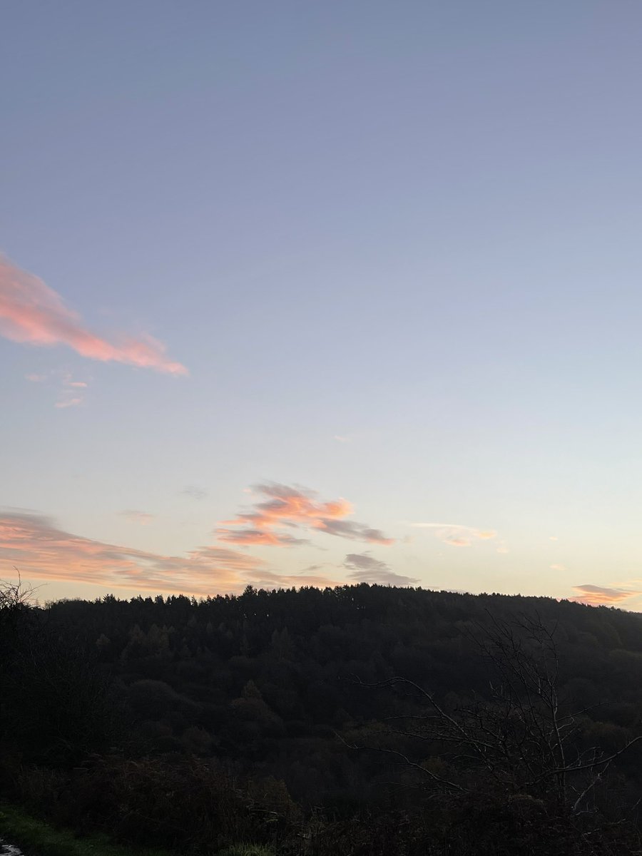 Jackie Smith 💙💙💙 tweet media