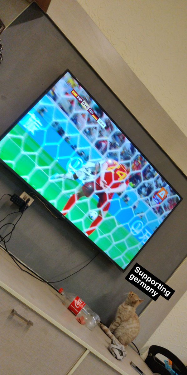 suicidebiscuit's tweet image. I have raised him right 
(And yes I do offer parenting courses) 
#ESPvsGER