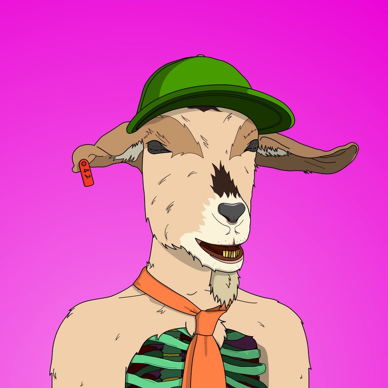 DegenBriii's tweet photo. @raustiiin @adaGOATS Hell yeah π₯π₯#LFGoat #goatsfollowgoats https://t.co/qtVob1jxML