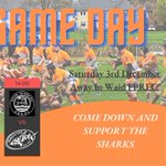 Photo by Rosyth Sharks RFC (@RosythSharksRFC)