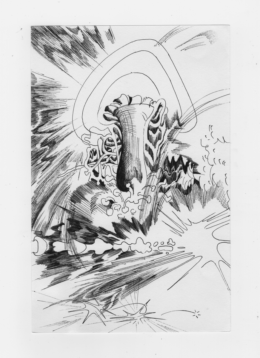 mushroom hunting. pages from a forthcoming zine