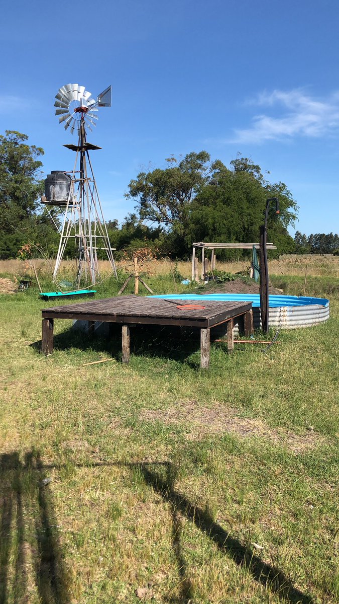 Si hay algo mejor que los domingos en el campo y en familia no quiero saberlo 😍