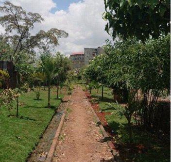 #GreenSpacesSDGs 
LIKE ,RETWEET &amp; SHARE
<a href="/KombGreen/">KOMB GREEN SOLUTIONS</a> Comparing 2017 August with 2020 January