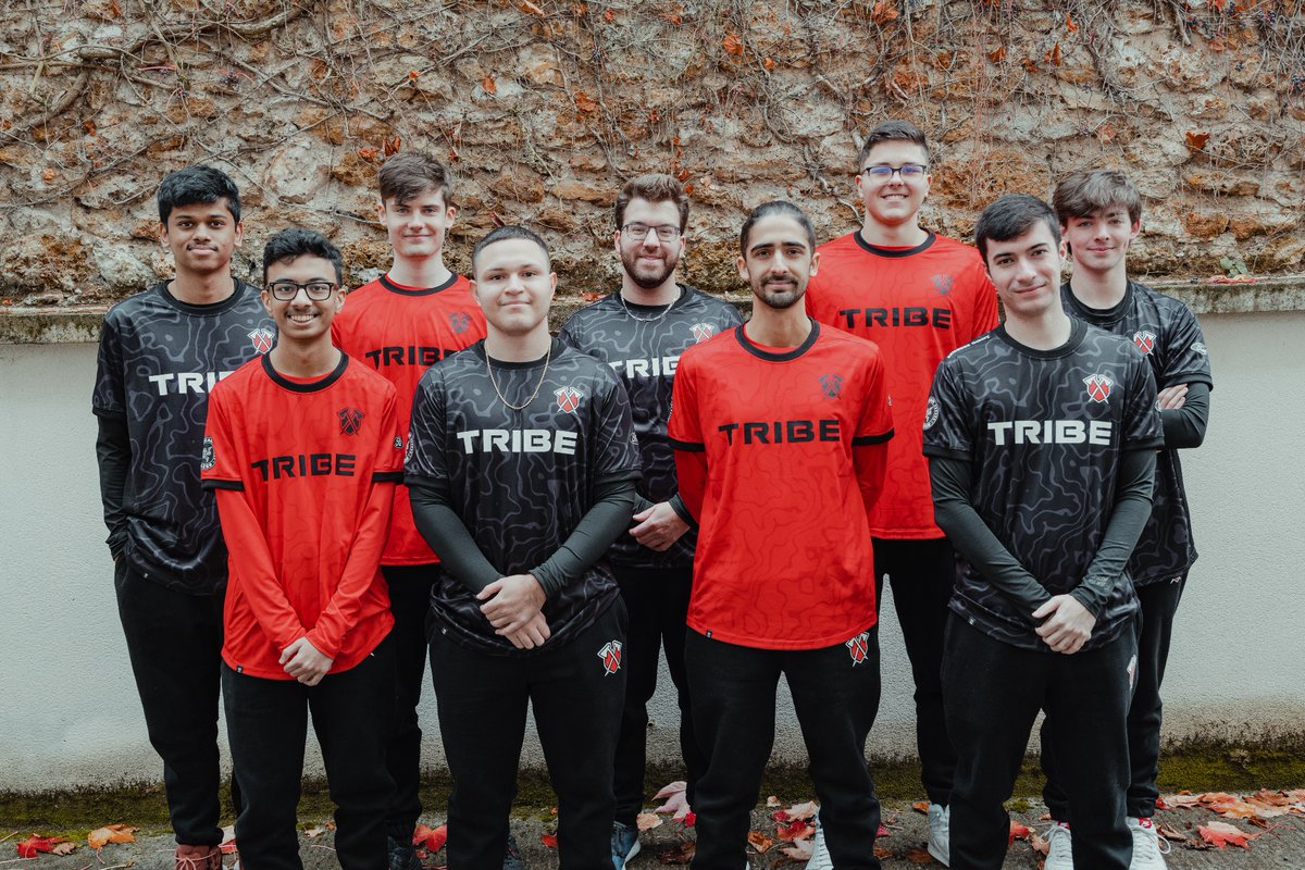 Tribe Gaming tweet media