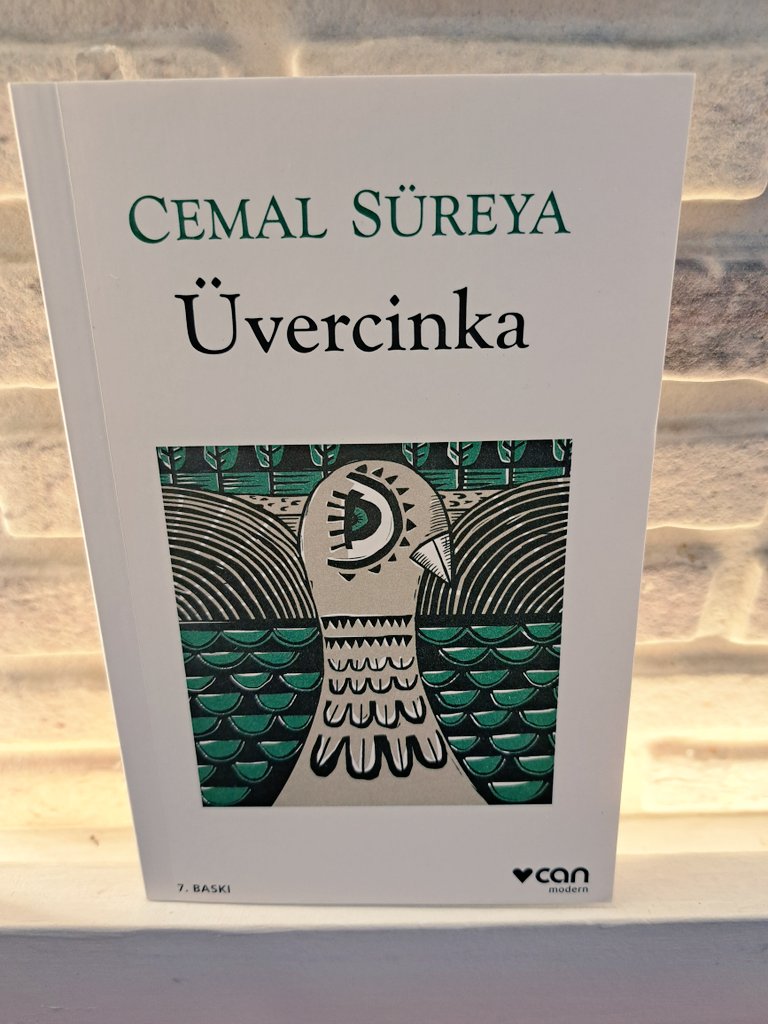 Kötülüklerin büsbütün egemen olduğu 
Namussuz bir çağ bu biliyorsun 

Yaşayanlar unutmuştu bizi
Biz öldüğümüzle kalmıştık 

#kitap #kitapsever  #kitapönerisi #neokusam    
#book #books  <a href="/edebiart_/">edebiart</a> #edebiart <a href="/Benimokumam/">Birsen📚🇹🇷</a>