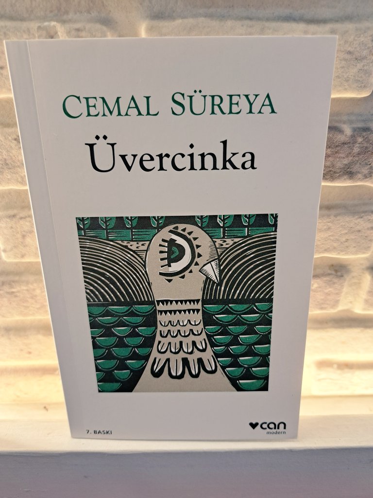 Kötülüklerin büsbütün egemen olduğu 
Namussuz bir çağ bu biliyorsun 

Yaşayanlar unutmuştu bizi
Biz öldüğümüzle kalmıştık 

#kitap #kitapsever  #kitapönerisi #neokusam    
#book #books  @edebiart_ #edebiart @Benimokumam